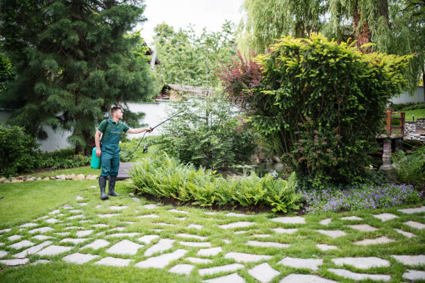 Best Pest Control Cost  in Laguna Beach, CA